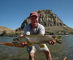 Lower Yellowstone Brown