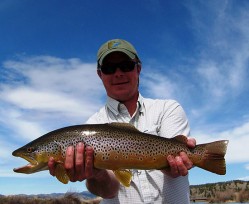 Spring Missouri Brown